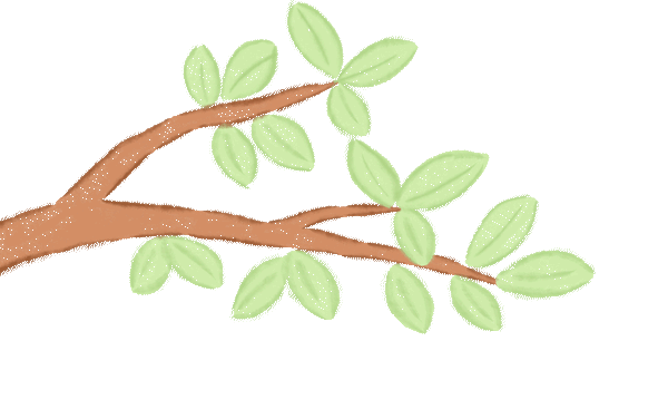 跳蚤小市场 成长大体验——惠济区博睿幼儿园跳蚤市场主题活动-幼师课件网第22张图片