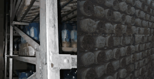 高溫？高濕？腐蝕？這款CO?變送器為何成為行業(yè)“隱形守護(hù)者”