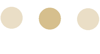 核酸小分子偶联服务