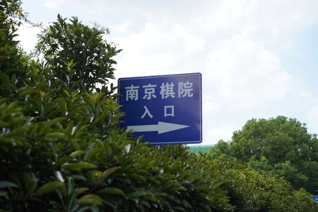 DSC05973.JPG