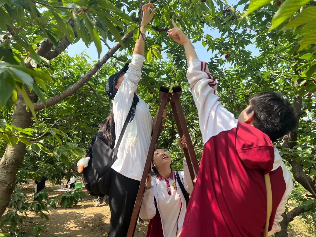 微信图片_20250517190954.jpg