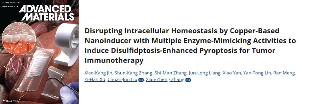 【2025年12月（上）文献战报】Bioss 高分文献精彩呈现