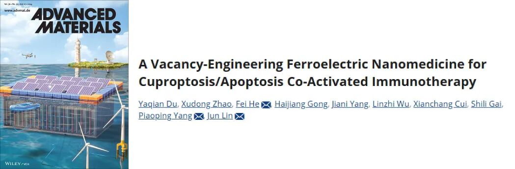 【2025年12月（上）文献战报】Bioss 高分文献精彩呈现
