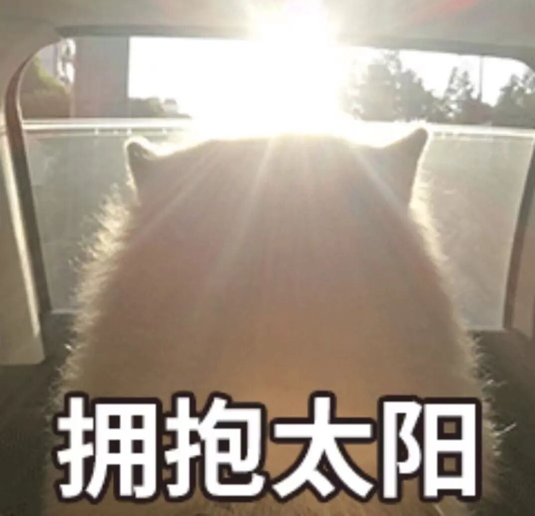 96d637f84fa02ca2cc8d164484f101bd.jpg