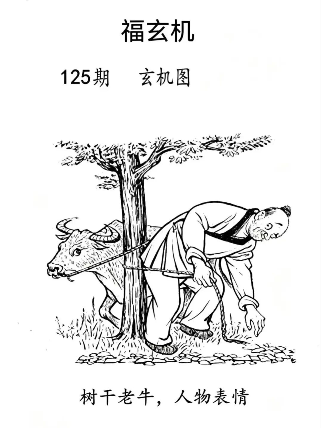 采集的图片