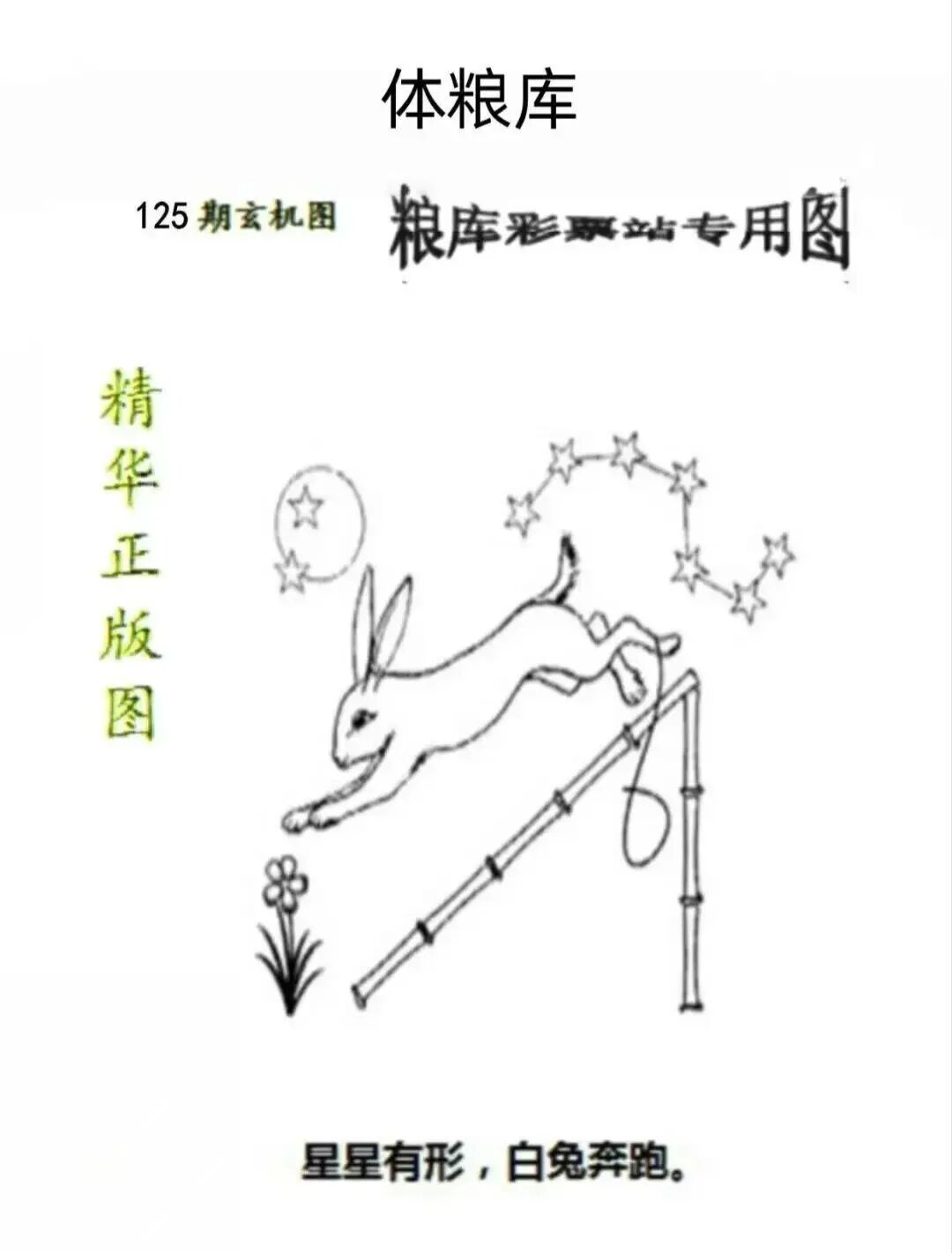采集的图片