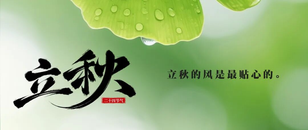 立秋配图2.jpg
