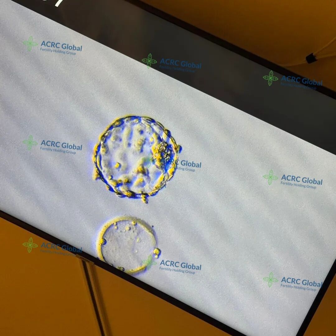 代母日常 (3).jpg