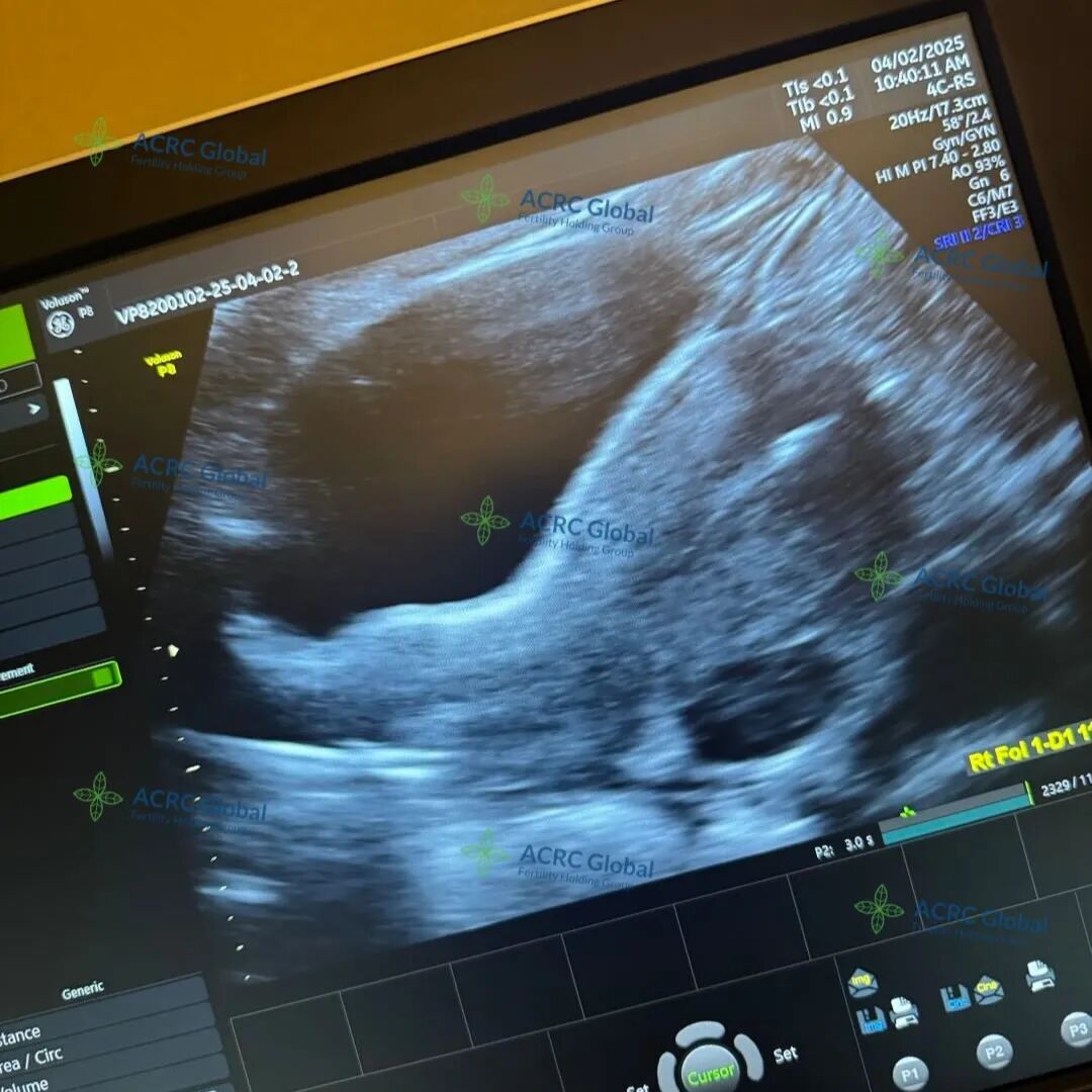 代母日常 (4).jpg