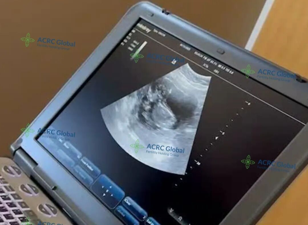 代母日常 (14).jpg