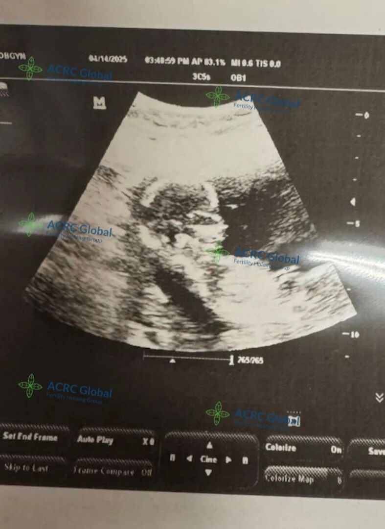 代母日常 (12).jpg