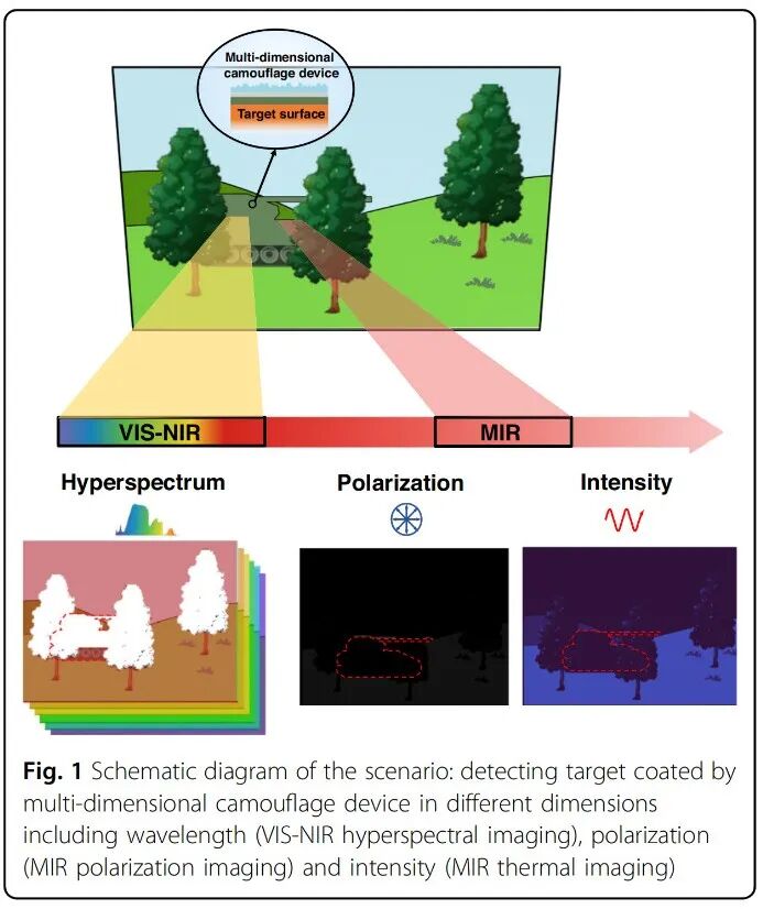 《Light: Science & Applications》发表多维度<font class=