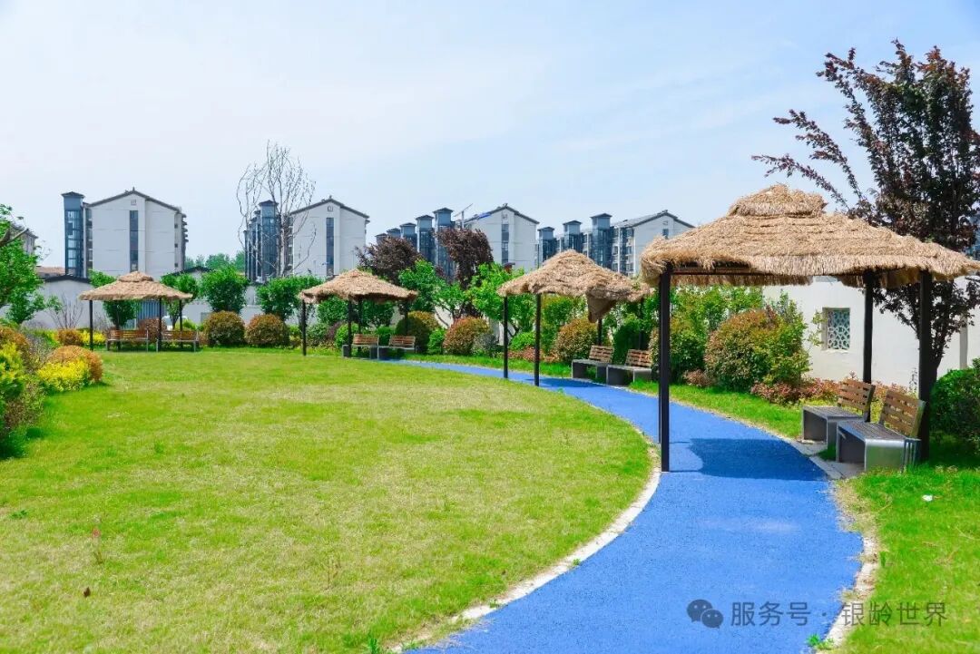 微信图片_2026-06-03_142521_541_副本.jpg
