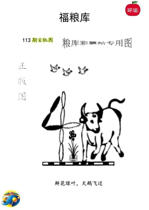 采集的图片