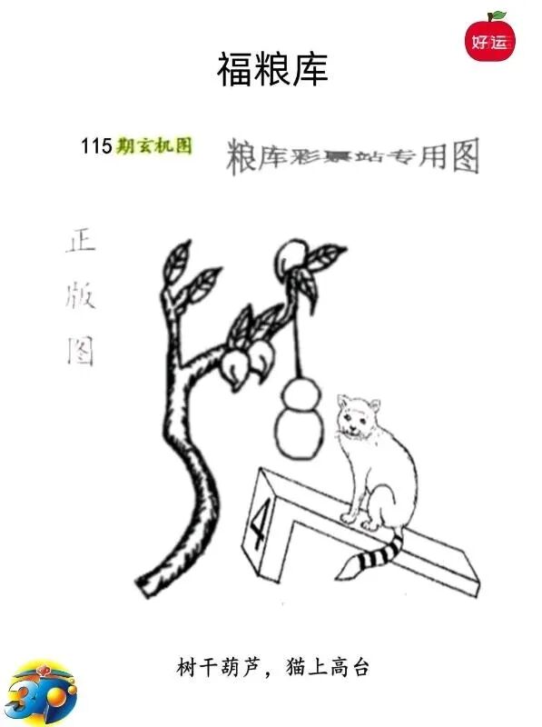 采集的图片