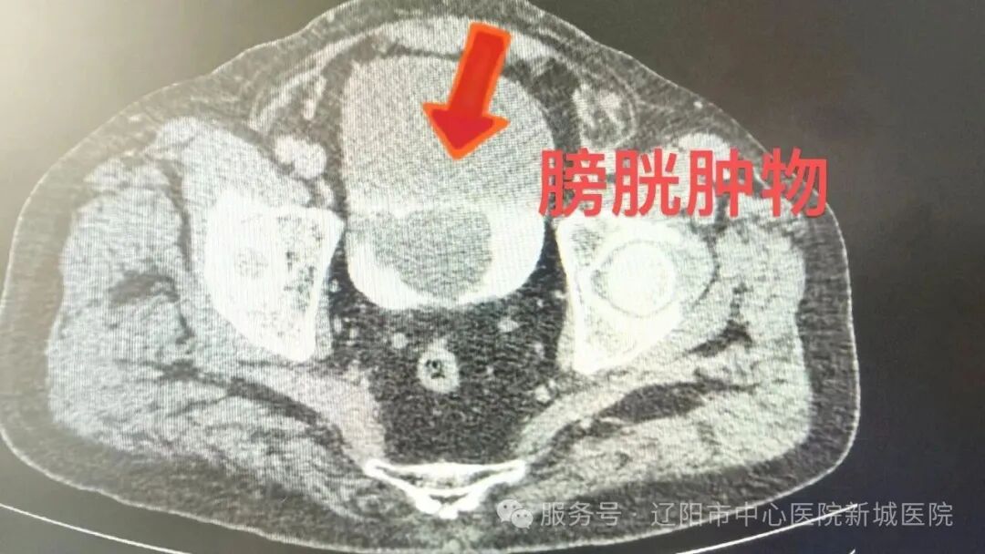 微信图片_20260724082126_1682_195.jpg