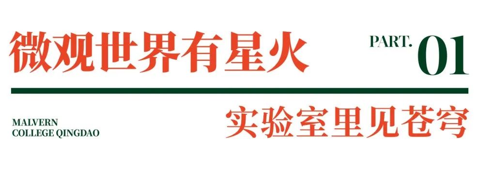 学生说公众号_画板 1 副本 4.png