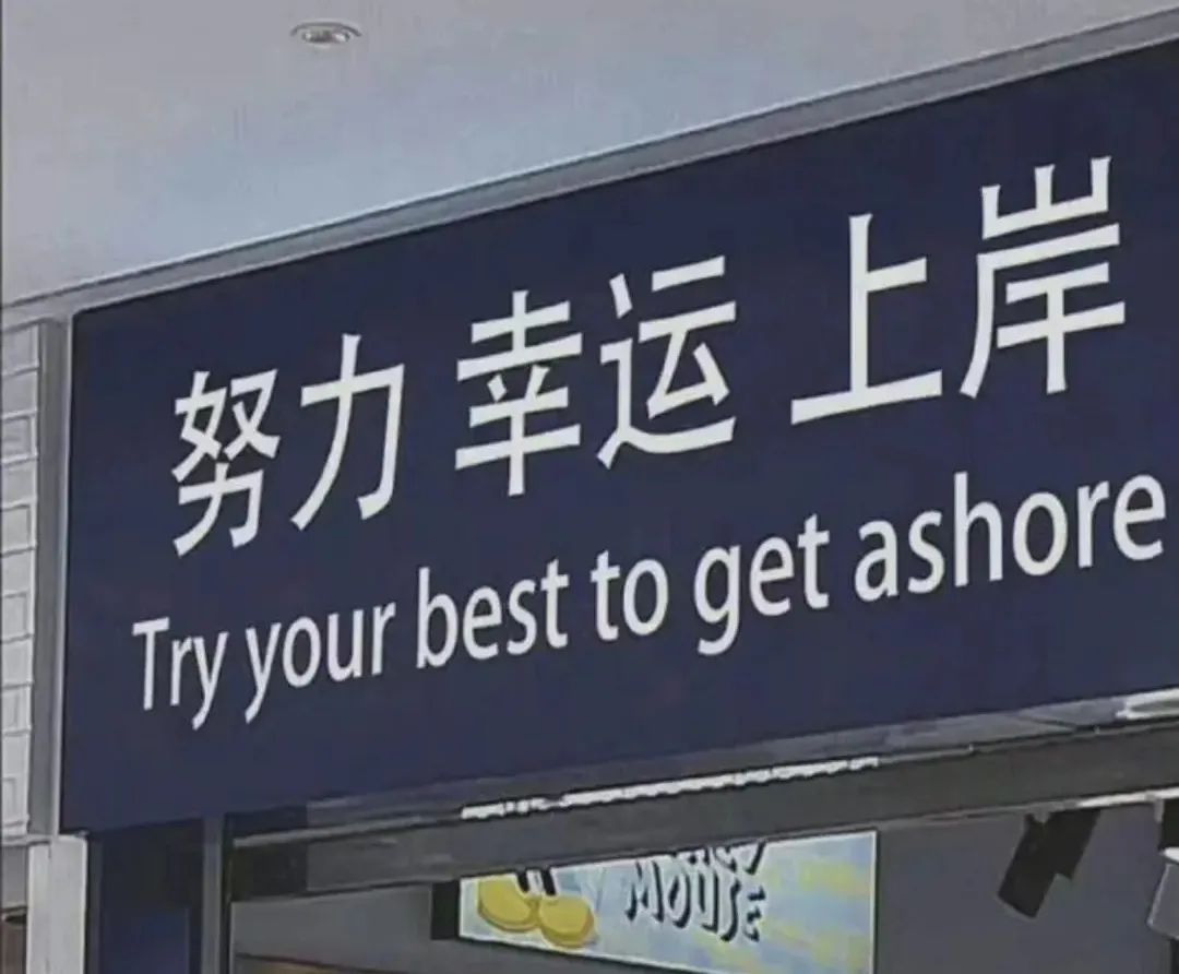 8b6808126b26c62eb3b0967f91ea3bb.jpg