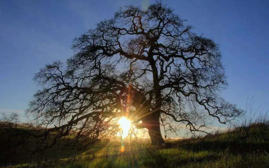 二十二章：“圣人抱一为天下式”是什么意思？「一」指什么？（3）