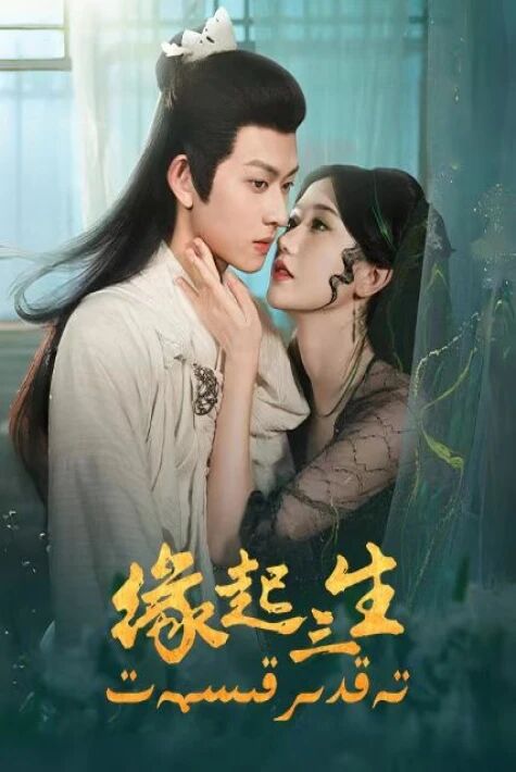 تەقدىر قىسمەت