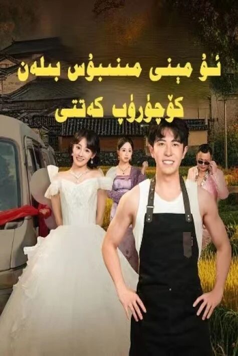 ئۇ مىنى مىنبوس بىلەن كۆچۈرۈپ كەتتى