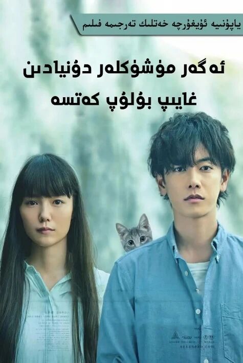 ئەگەر مۈشۈكلەر دۇنيادىن غايىپ بولۇپ كەتسە