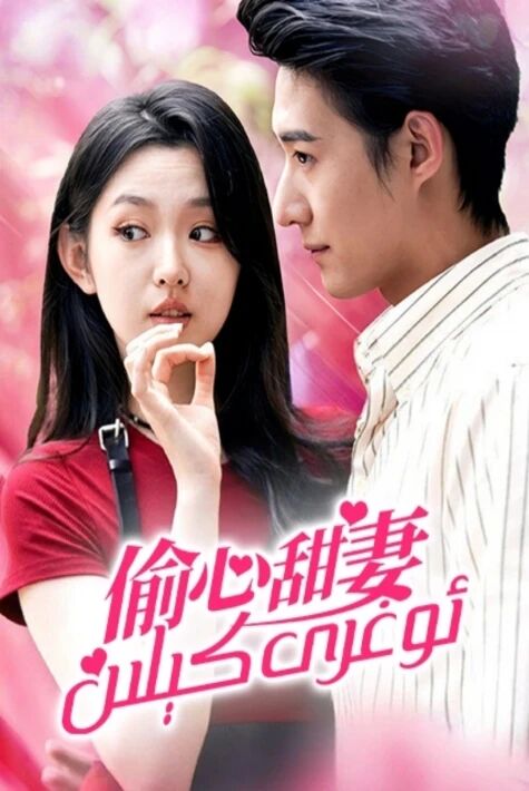 ئوغرى كېلىن