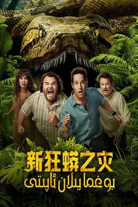 يېڭى بوغما يىلان ئاپىتى