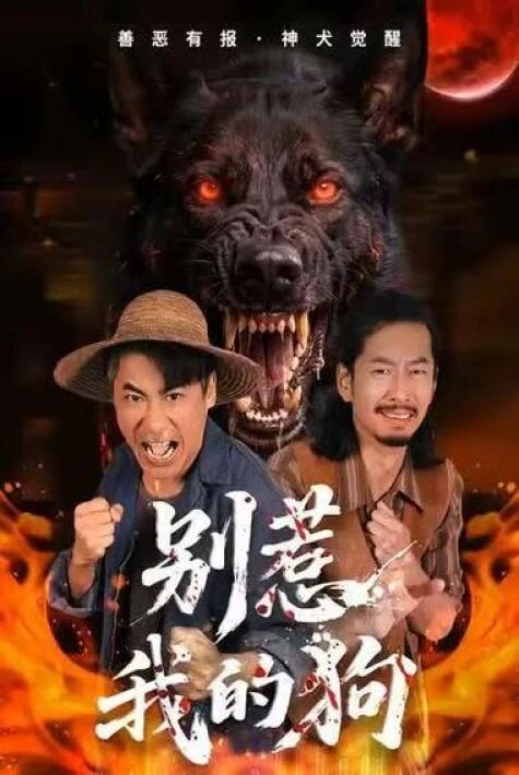 مىنىڭ ئىتىمغا چاقچاق قىلما