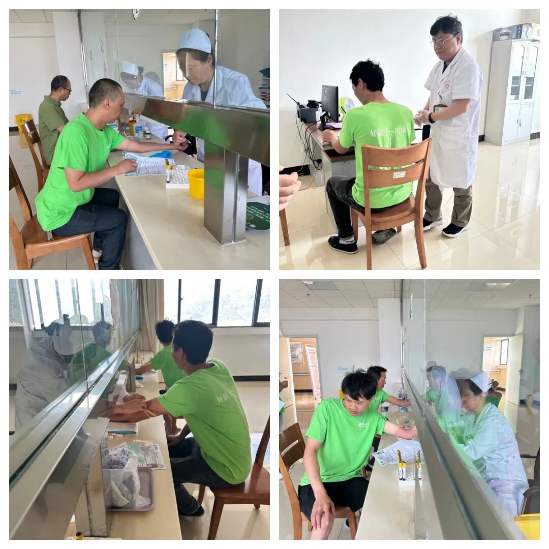 绿舟腻子粉