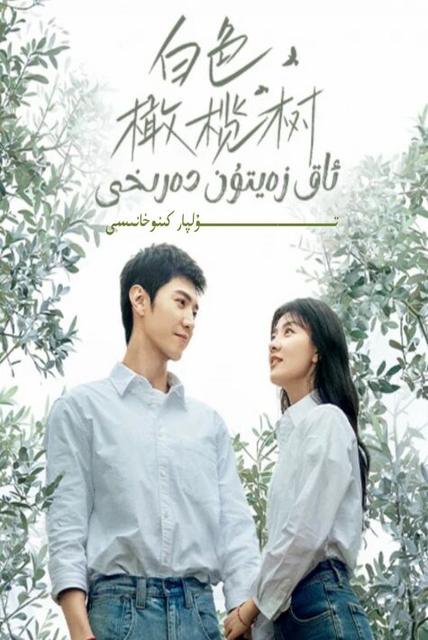 ئاق زەيتۇن دەرىخى