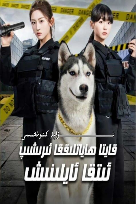 قايتا ھاياتلىققا ئايلىنىپ ئىتقا ئايلىنىش يېڭى تور تىياتىرى