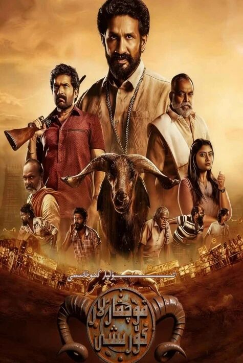 قوچقارلار كۆرىشى