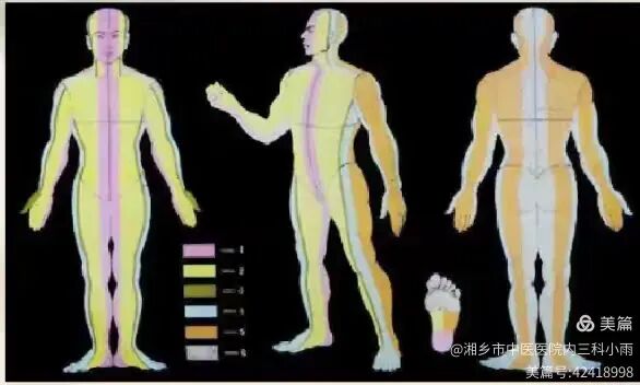 导什么针什么作用【医问医答】一针见效，无痛祛疾｜揭秘中医神奇疗法“腕踝针”_https://www.jmylbn.com_新闻资讯_第4张