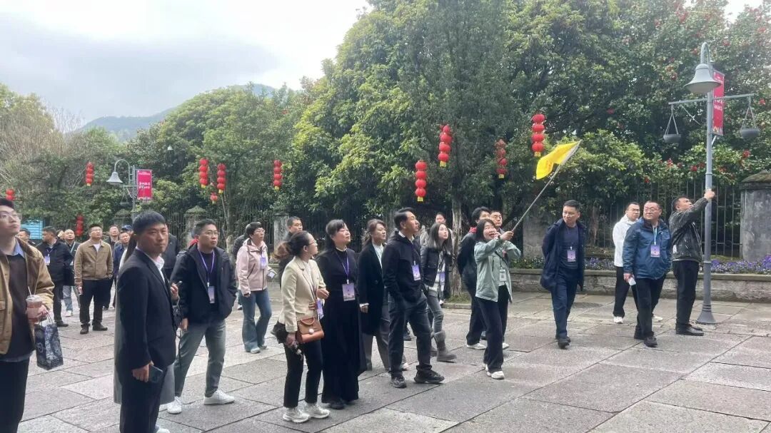 朗域视觉科技-朗域标识