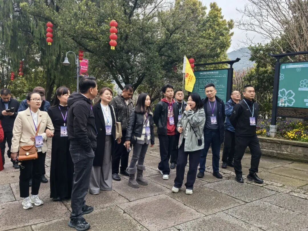 朗域视觉科技-朗域标识