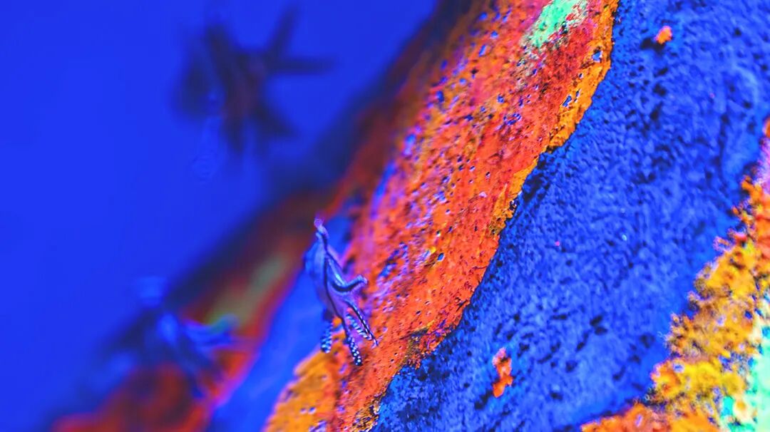 冬季饮水误区：为什么越喝越干？正确补水指南