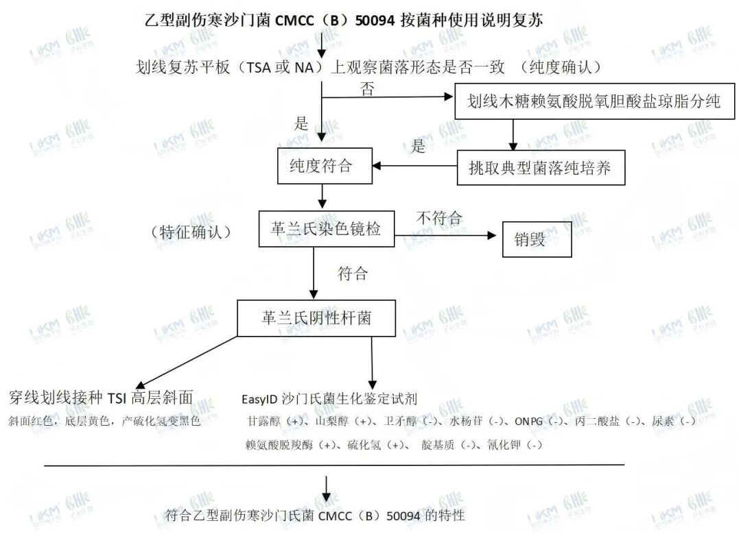 乙型副伤寒沙门菌CMCC（B）50094按菌种使用说明复苏