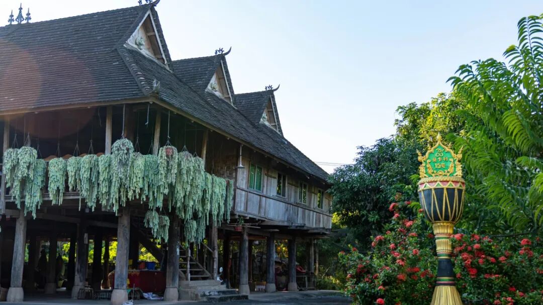 DSC07349-已增强-降噪.jpg