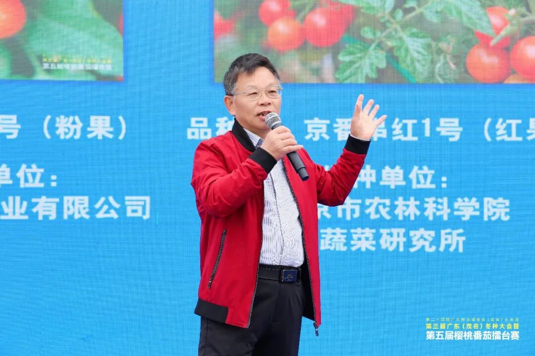 第五届樱桃番茄擂台赛专家评审团团长黎振兴发布樱桃番茄擂台赛评选结