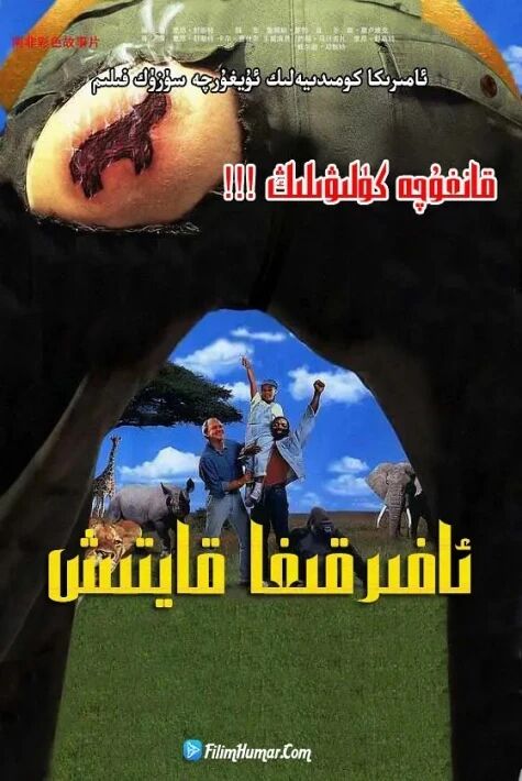 ئافرىقىغا قايتىش