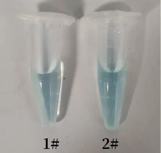 BeNano 90 Zeta检测Cy5-碘海醇荧光纳米颗粒的粒径