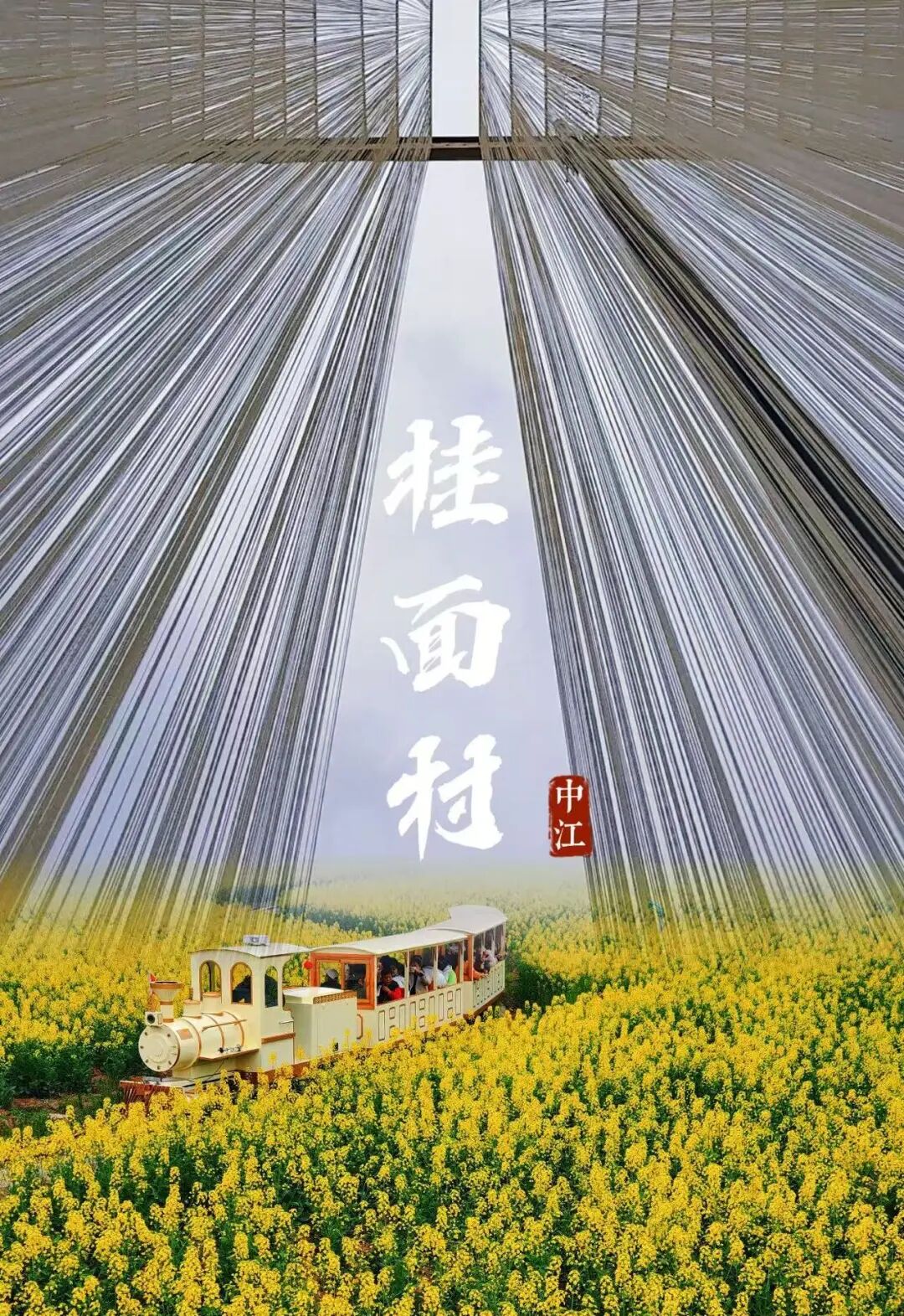 微信图片_20260507155733_171_101.jpg