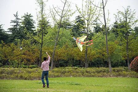在丰收的田野上放风筝图片素材-正版创意图片400063054-摄图网