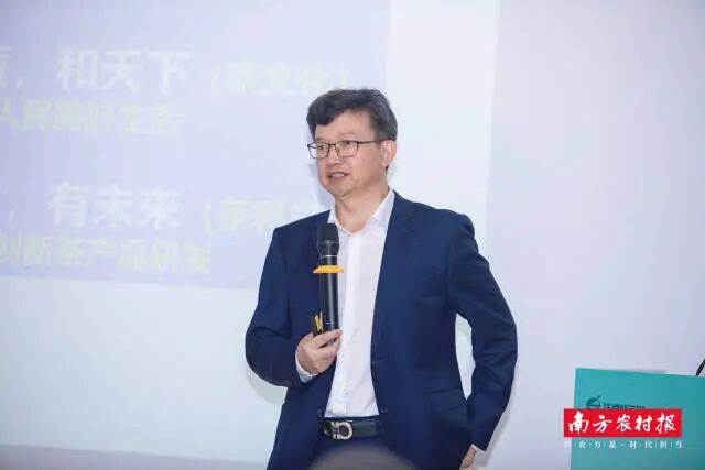 浙江大学茶叶研究所所长，中国国际茶文化研究会副会长王岳飞作主题分享