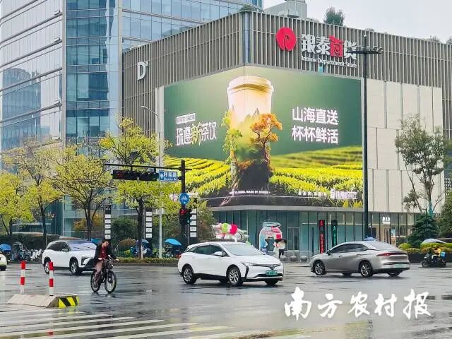 南方农村报 王富迪 拍摄