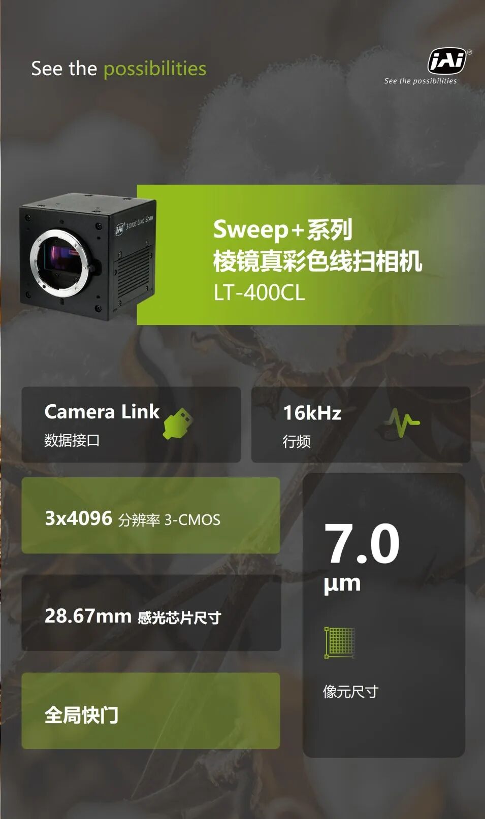 應用案例丨JAI棱鏡真彩色線掃相機助力“白色黃金”品質升級