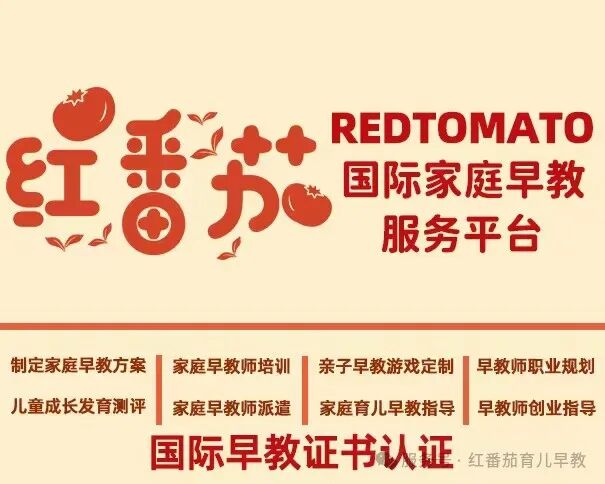 育见未来 | 贺州学院与红番茄早教携手擘画教育生态新蓝图