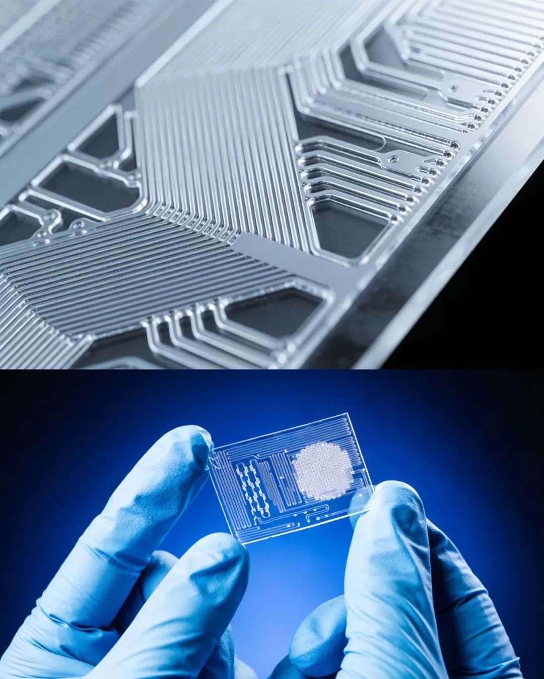 應用 | 蘭格注射泵在微流控系統中的核心應用