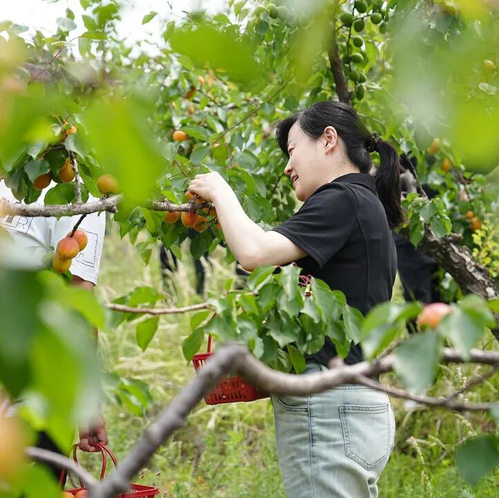 净美自然·益起同行｜兰格公司环保捡拾公益活动圆满举行